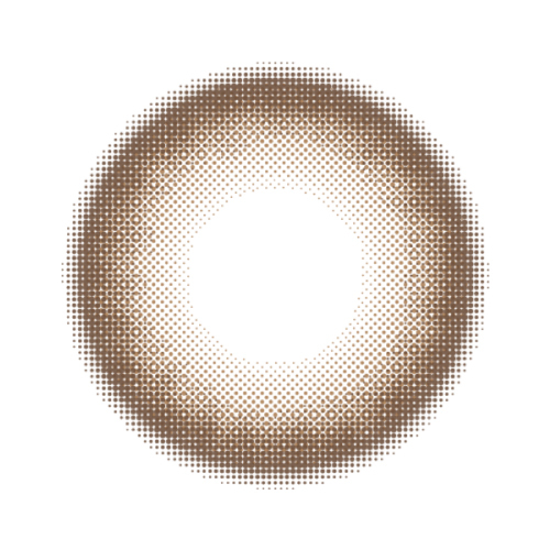 Melotte - Secret Bear - 1Day - 10Pieces