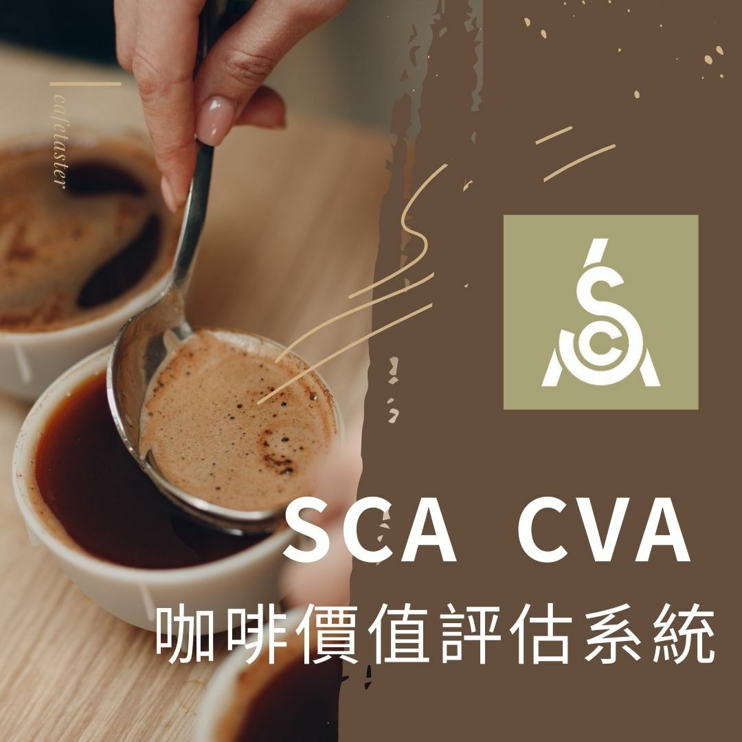 SCA 認證課程 ─ CVA 咖啡價值評估系統