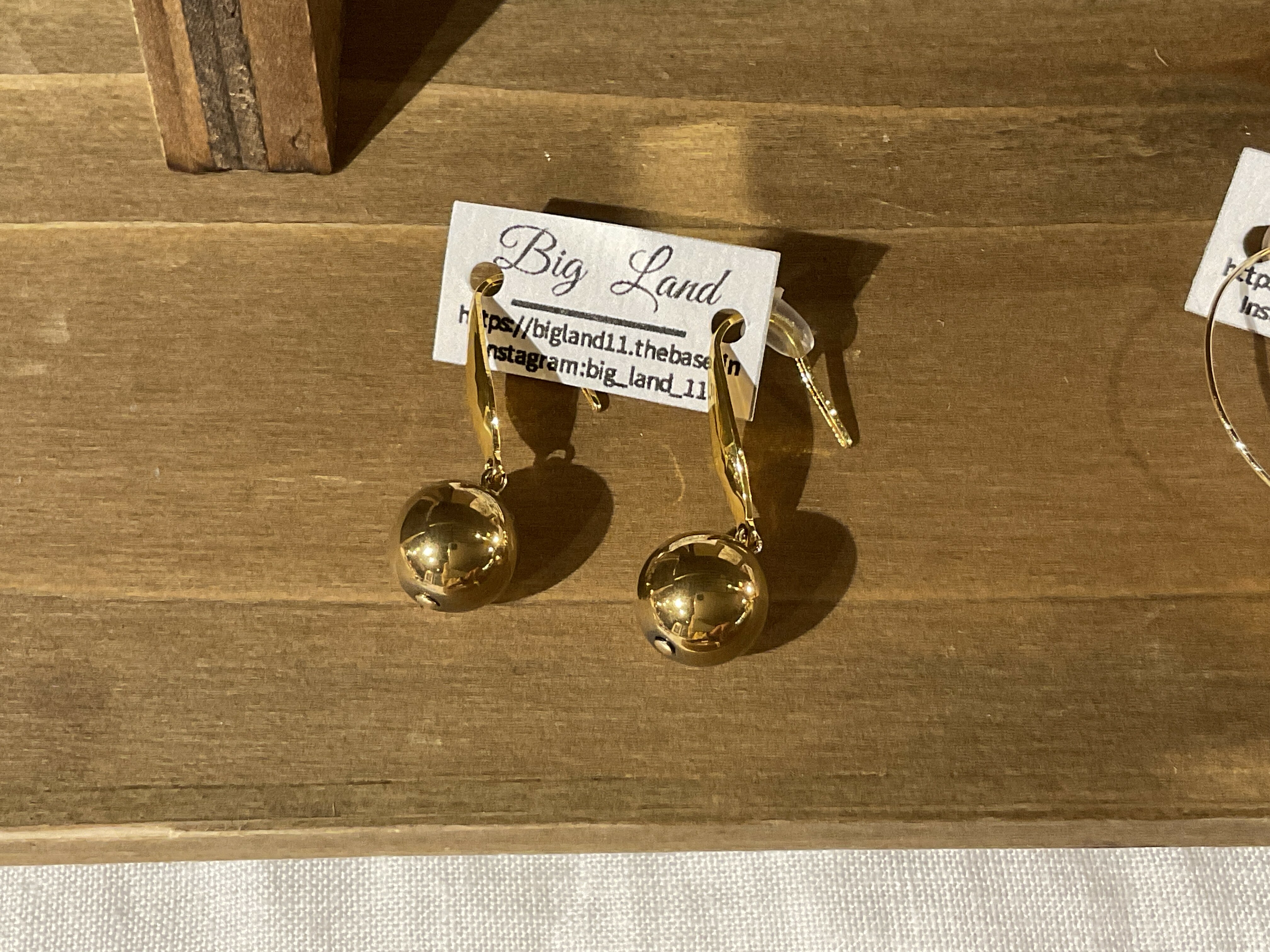 [Big Land] 赤鐵礦醫療鋼耳針 | NO.326