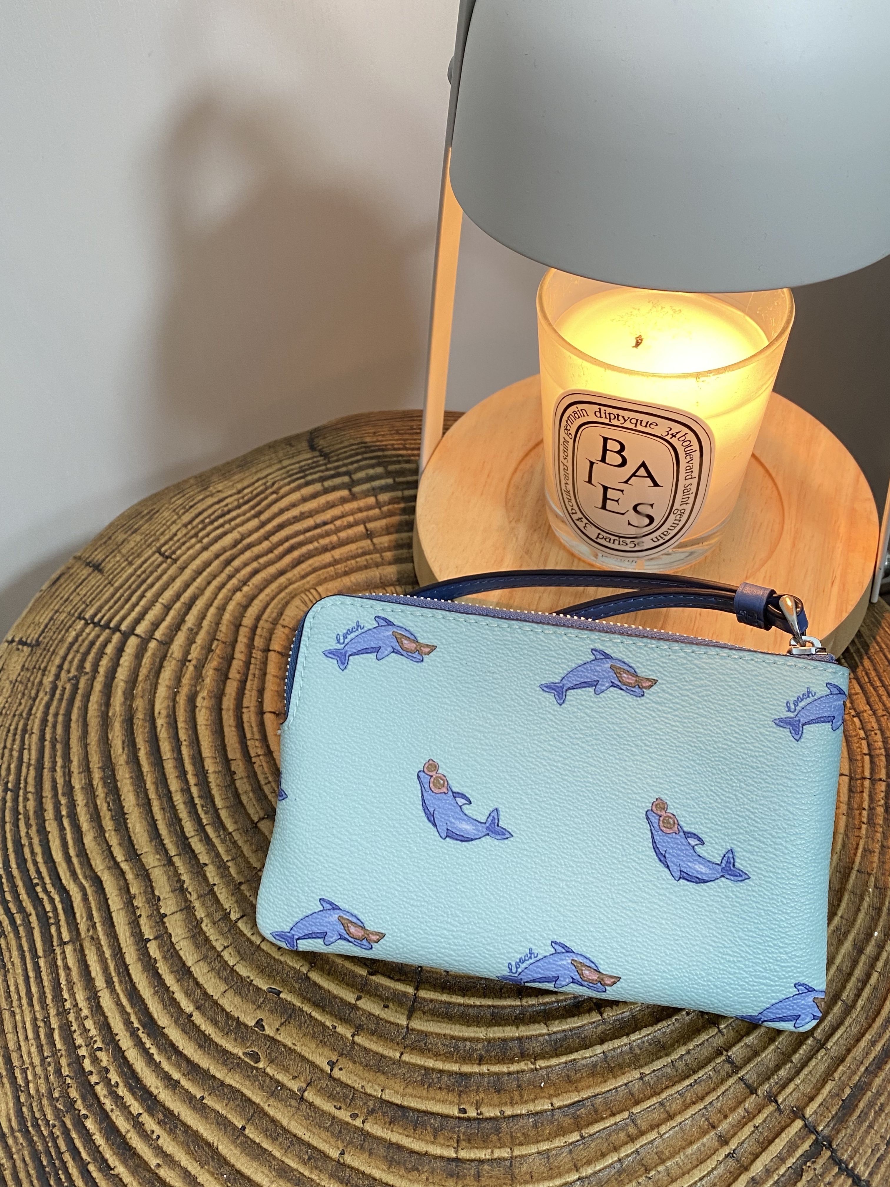 美國現貨 Coach Dolphin Corner Zip Wristlet - Blue