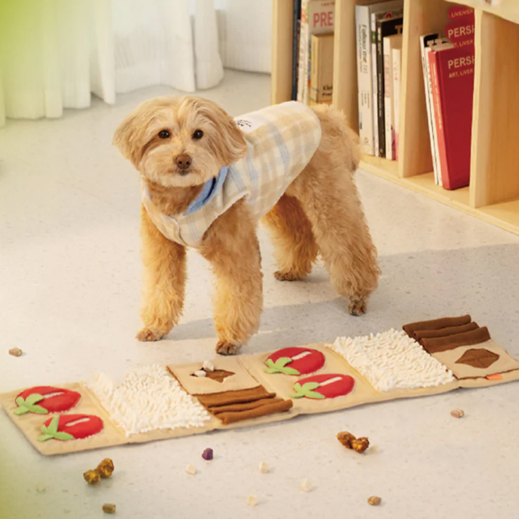 MewooFun 拿破崙嗅聞蛋糕