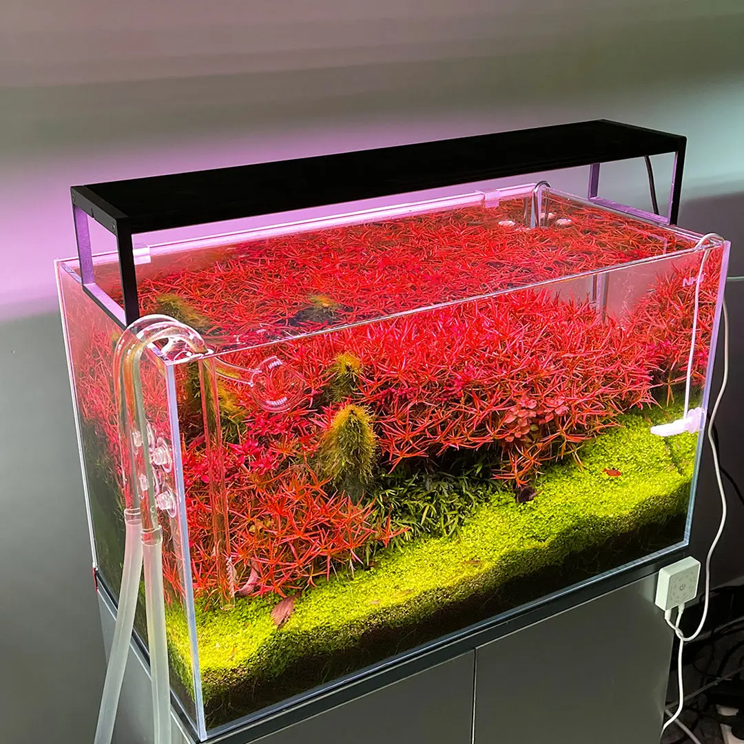 Chihiros WRGB II Slim 45 LED Light