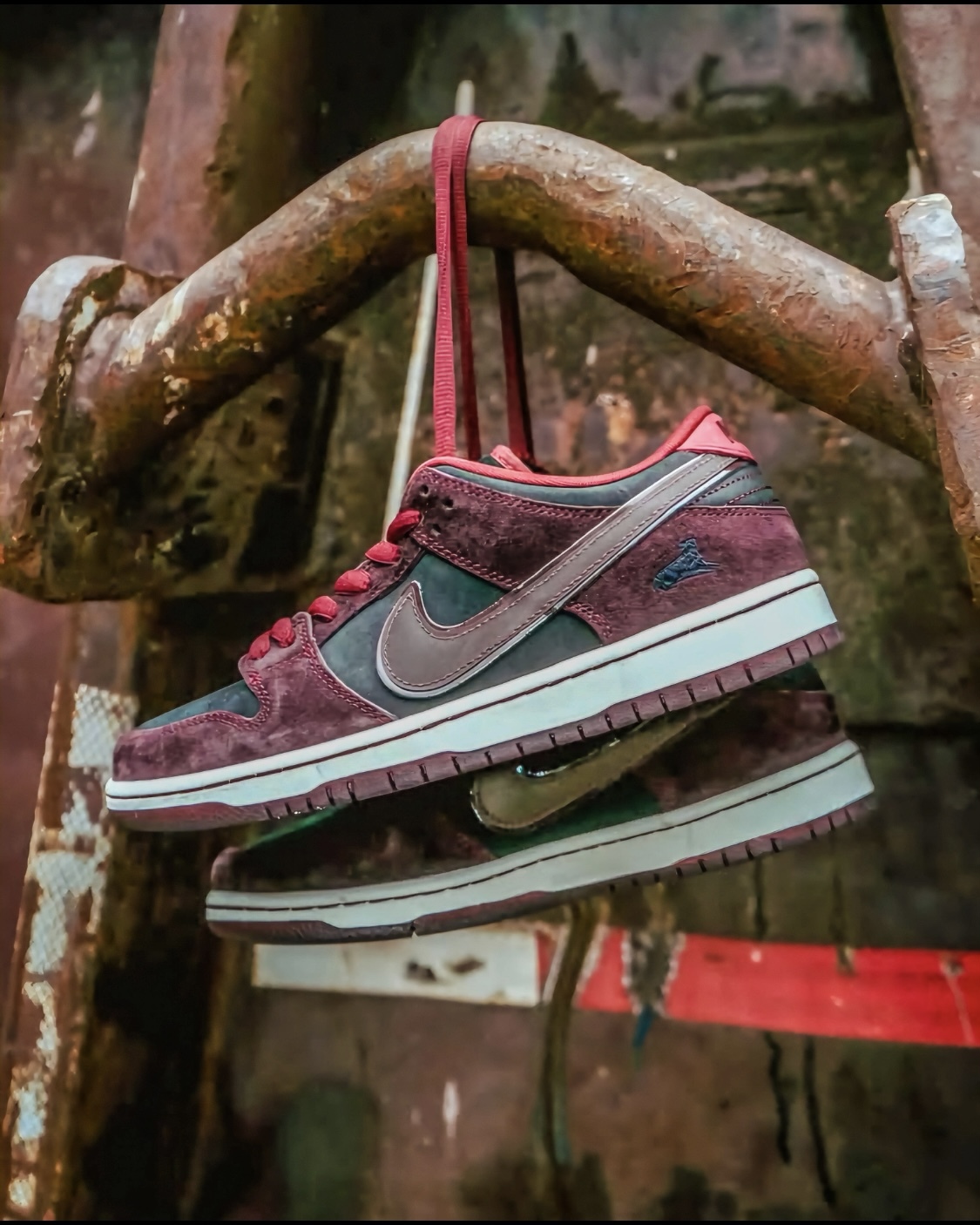 【Focus Store】預購 RIOT Skateshop x Nike Dunk Low SB "Mahogany Dark Beetroot" 酒紅 FZ1289-200