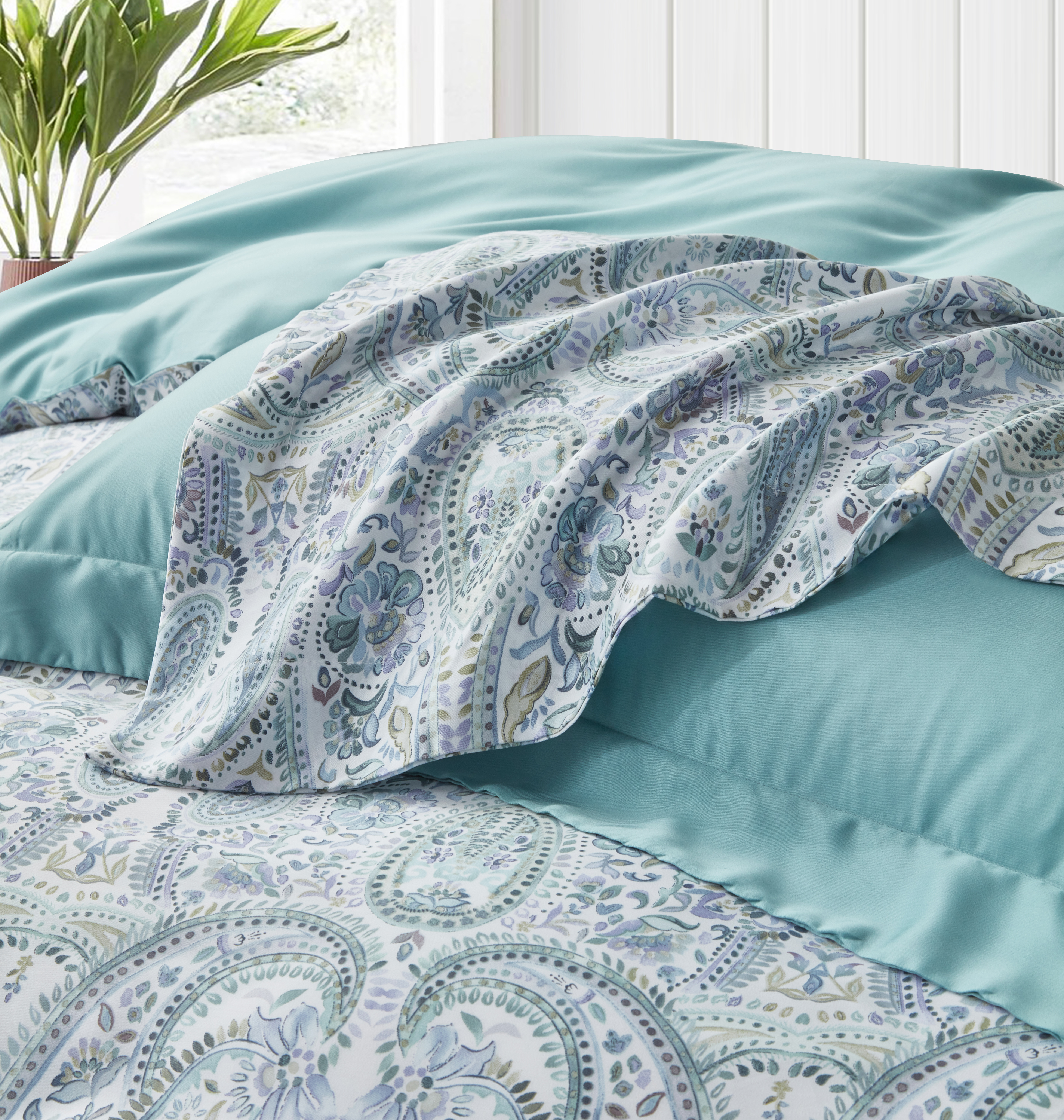 【三件式】100%60支凡芮思【諾曼第】雙色翅膀款