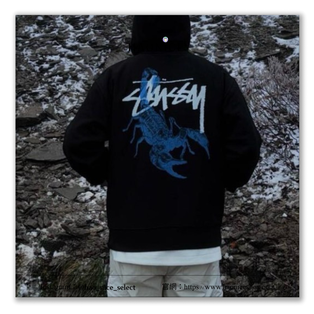 【HAO NICE 】美式🇺🇸潮流 STUSSY 秋冬新款 SCORPION ZIP HOODIE 蠍子圖案 純棉長袖 拉鍊外套