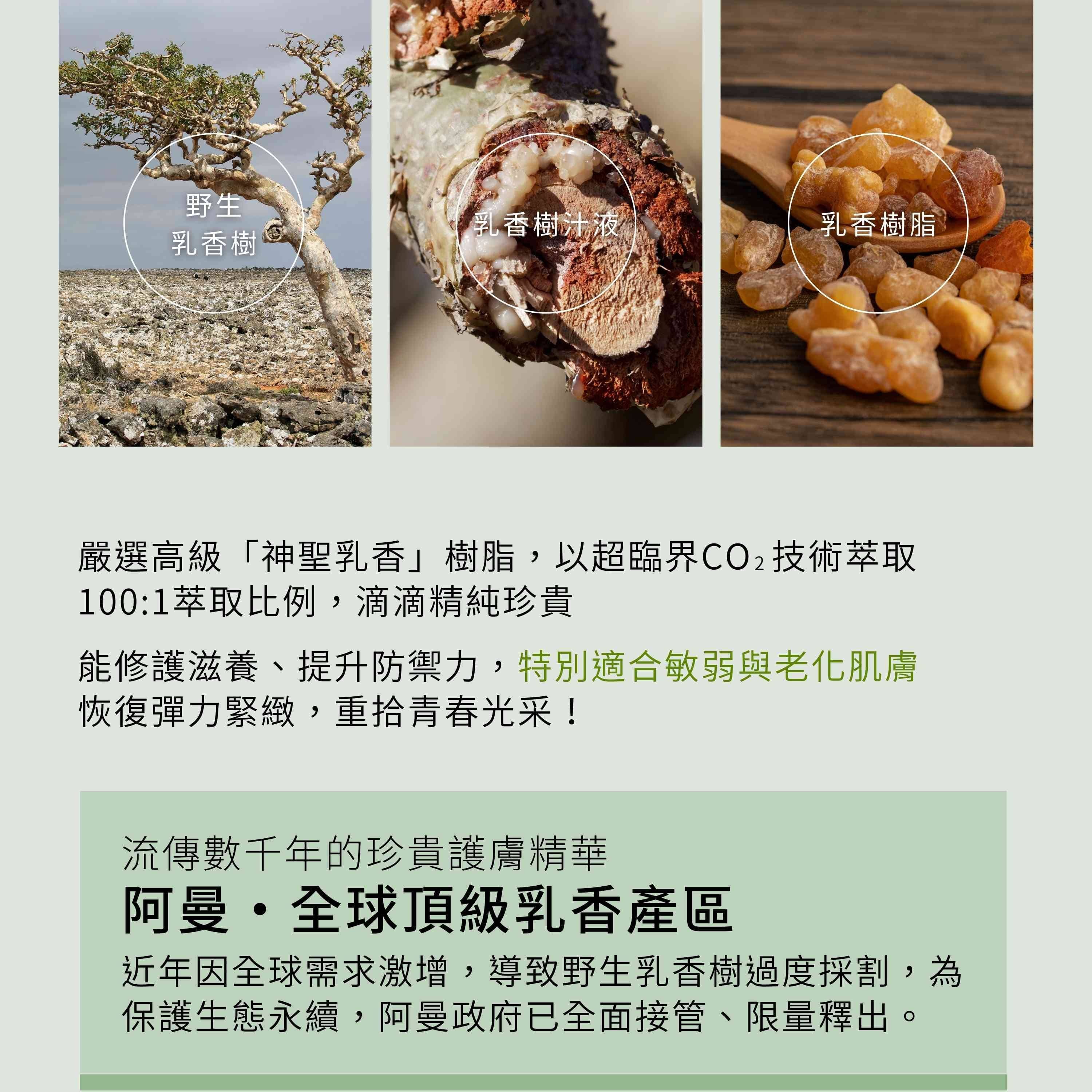 乳香緊緻油以阿曼神聖乳香樹脂萃取,恢復肌膚彈力緊緻,重現青春光彩!