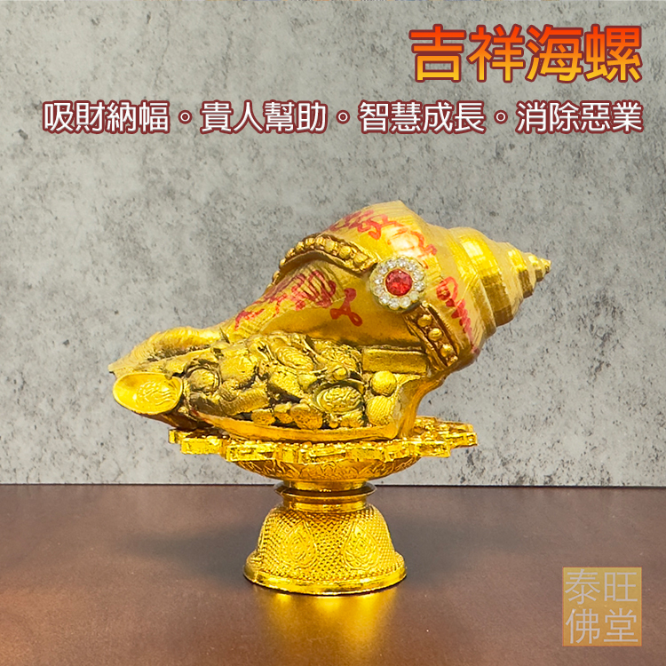 吉祥海螺】吸財納幅。貴人幫助。智慧成長。消除惡業