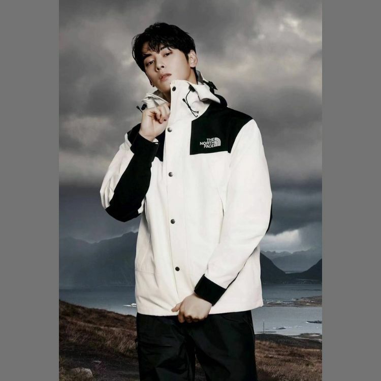 【代購】The North Face 1990 mountain jacket Gore-Tex 拼接白黑 北面 北臉防風外套