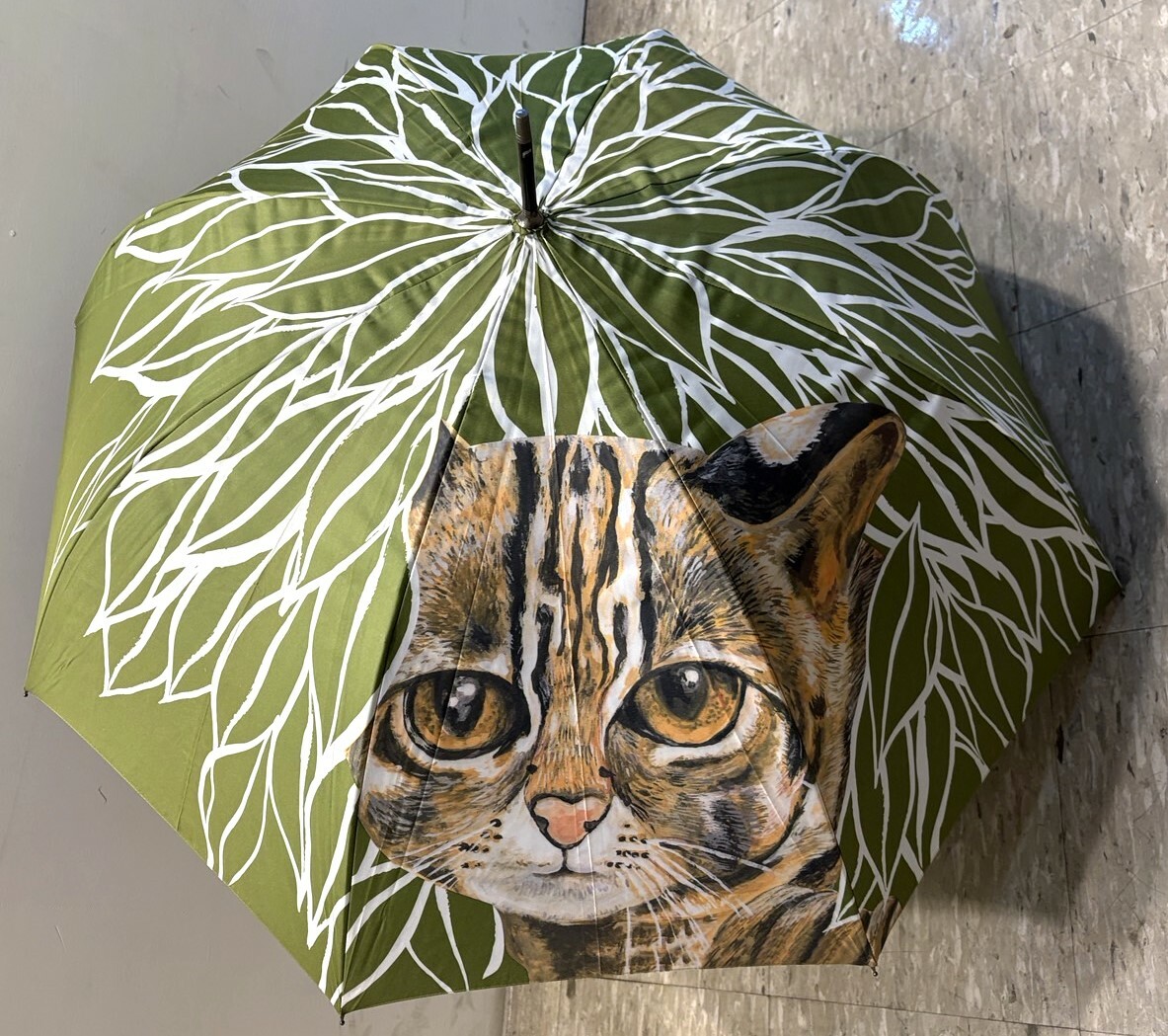 台中院｜發現石虎手繪傘