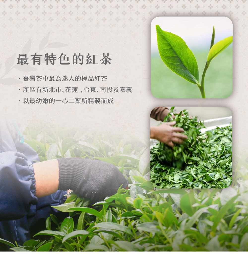 蜜香紅茶特性