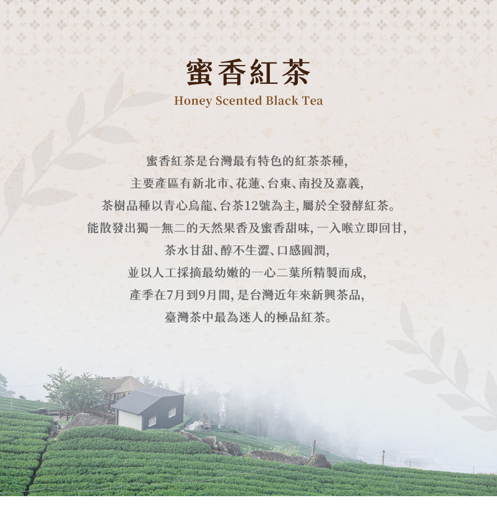 蜜香紅茶特性