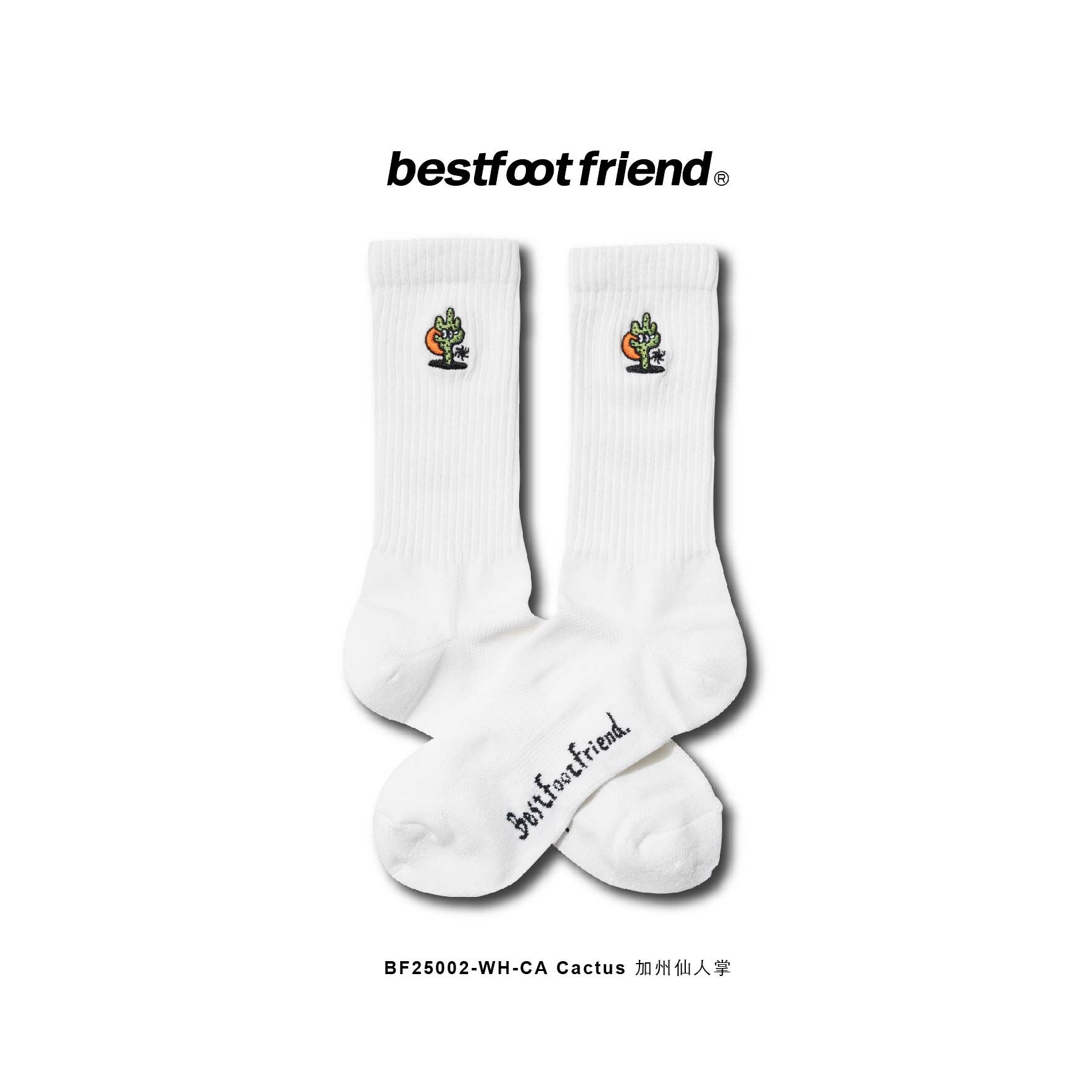 CA Cactus 加州仙人掌_WH_BF25002