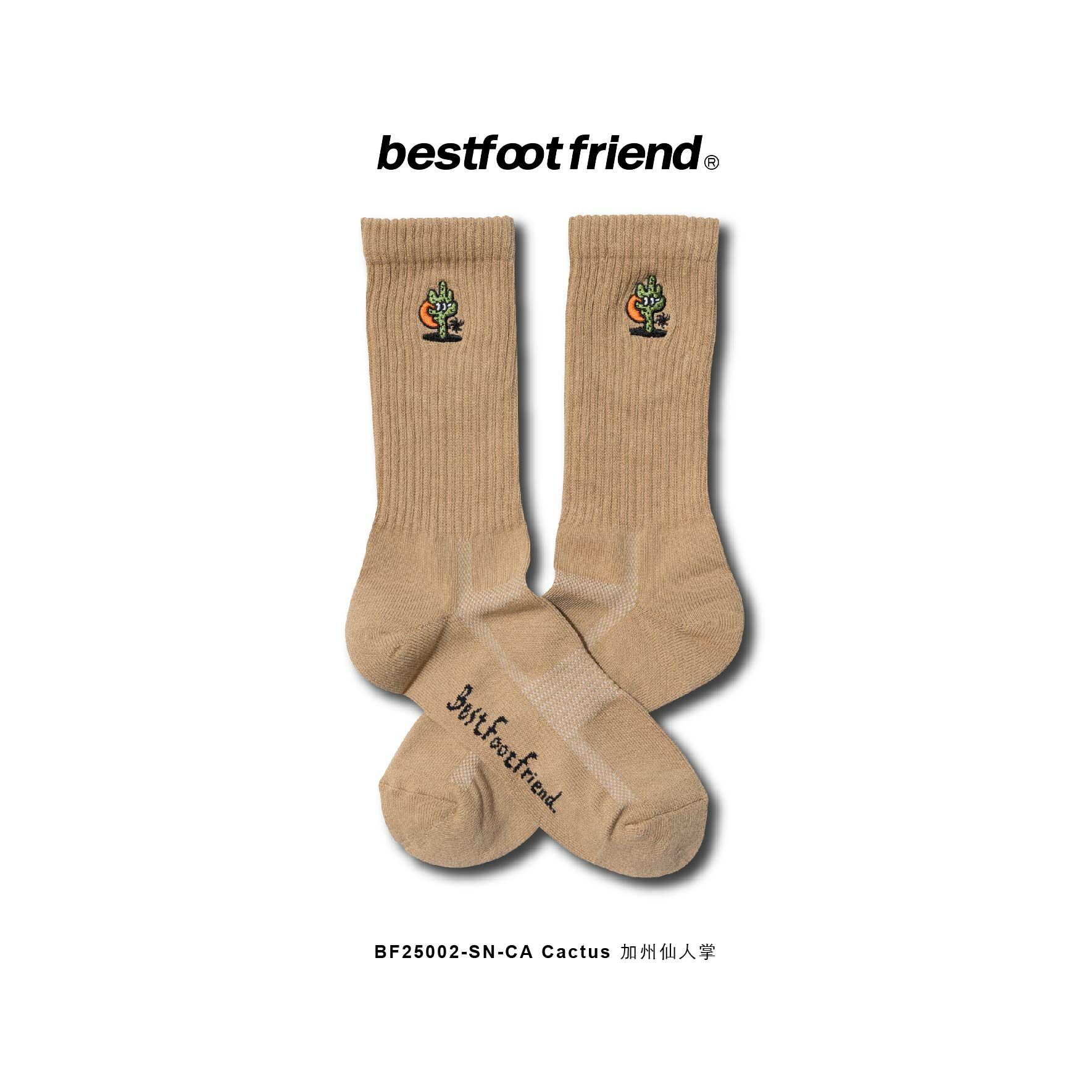 CA Cactus 加州仙人掌_SN_BF25002