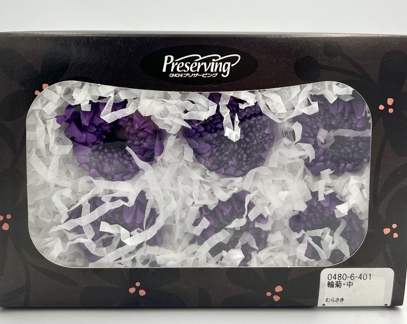 日本不凋輪菊(6朵/盒) 04806-401