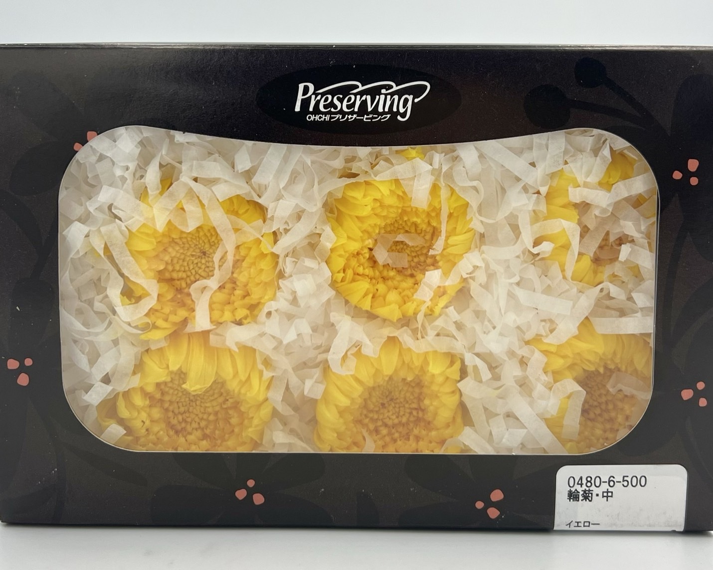 日本不凋輪菊(6朵/盒) 04806-500