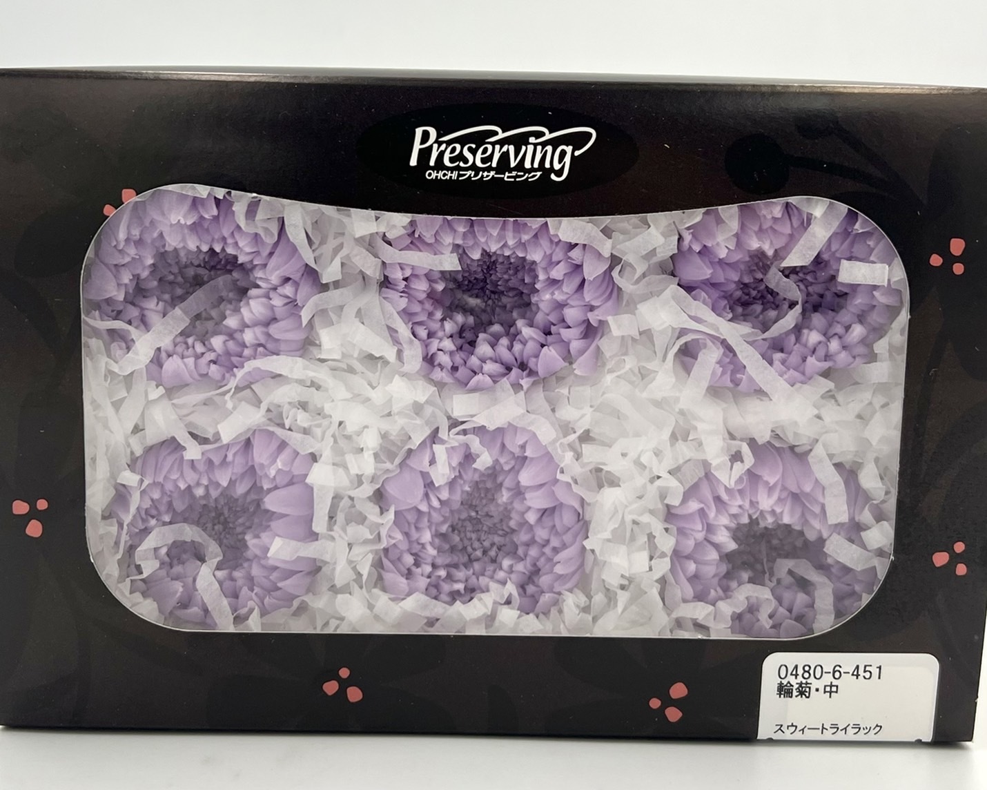 日本不凋輪菊(6朵/盒) 04806-451