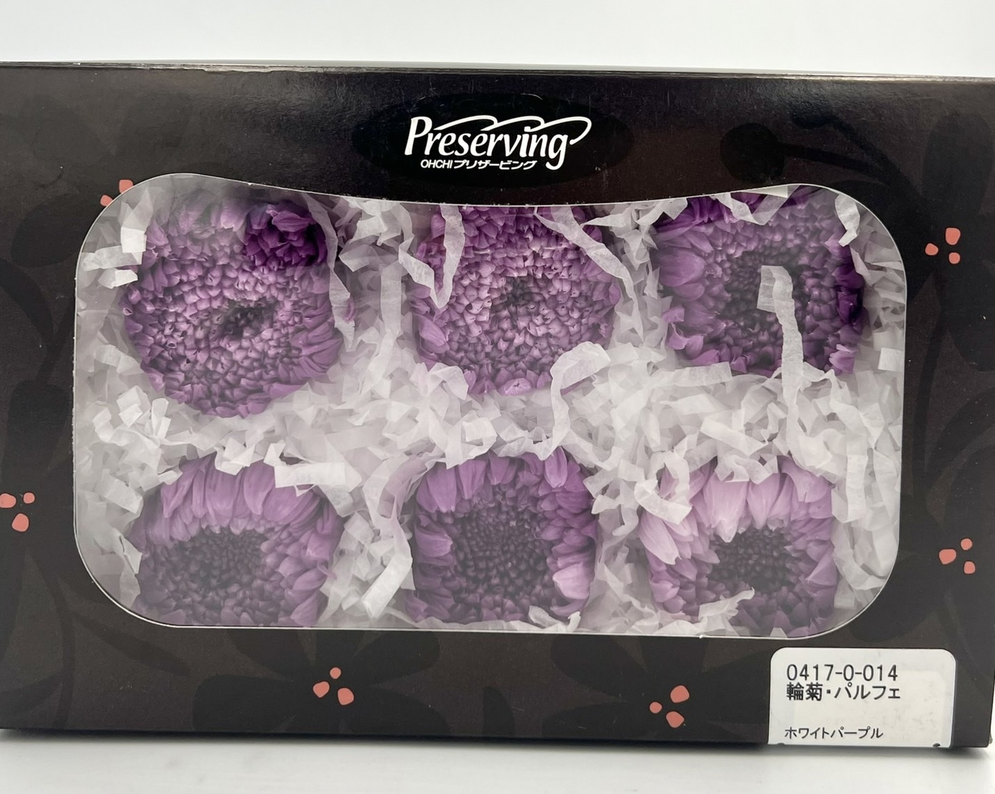 日本不凋輪菊(6朵/盒) 04170-014