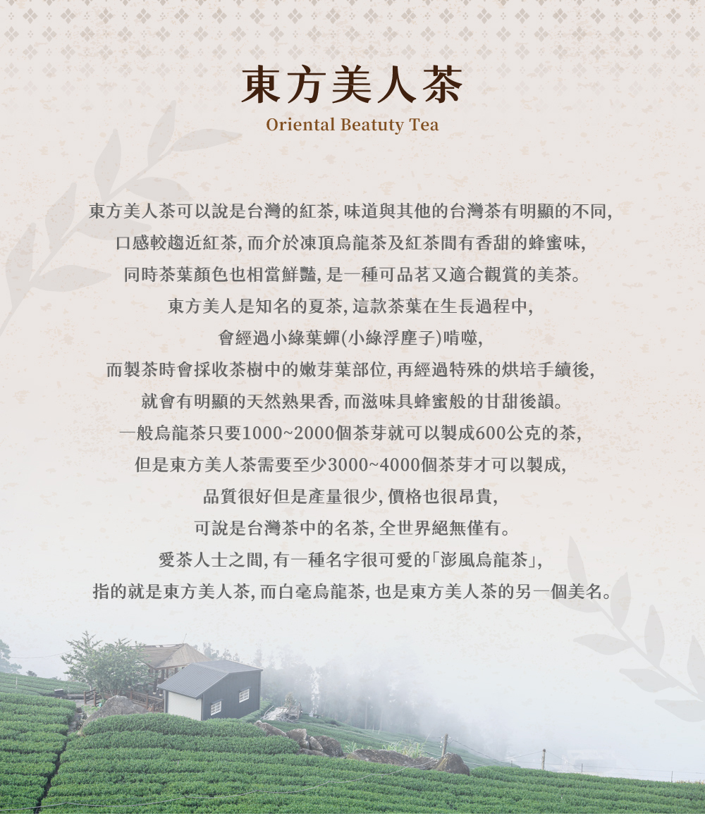 東方美人茶特色