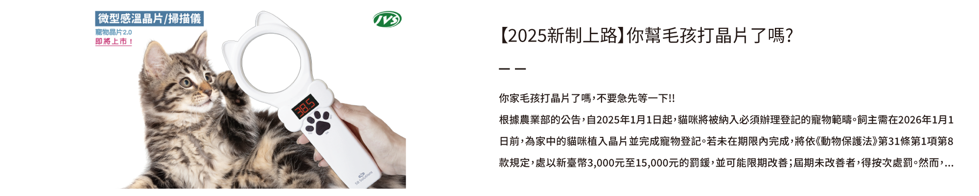 寵物,毛孩,貓,貓咪,狗,狗狗,健康,犬貓,江世明獸醫師,獸醫師,獸醫團隊,動物醫院,寵物老年生活,寵物健康,寵物健康筆記,寵物登記,晶片,動物保護法,罰款,pet,pethealthnotes,寶昕,JVET