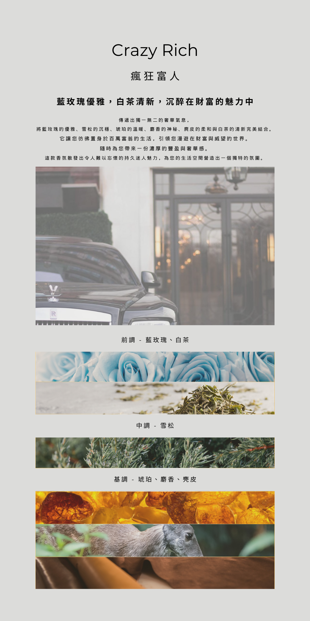 瘋狂富人 Crazy Rich －奢華而不失的香氛。Crazy Rich 散發著藍玫瑰、白茶、雪松、琥珀、麝香和絨面革的美妙組合，散發出持久的香味，讓您感覺彷彿漂浮在財富、財富和奢華的時代。-藍玫瑰優雅，白茶清新，沉醉在財富的魅力中-