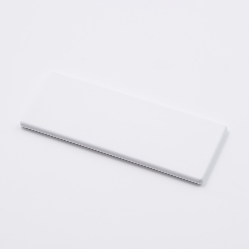 SP 珪藻土托盤/白 22.5x9.5x0.9cm