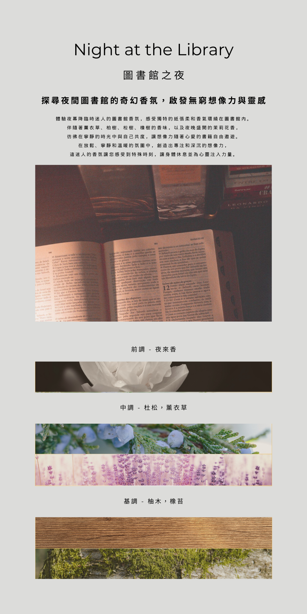 圖書館之夜 Night at the library－圖書館的氣味和皮革的書。