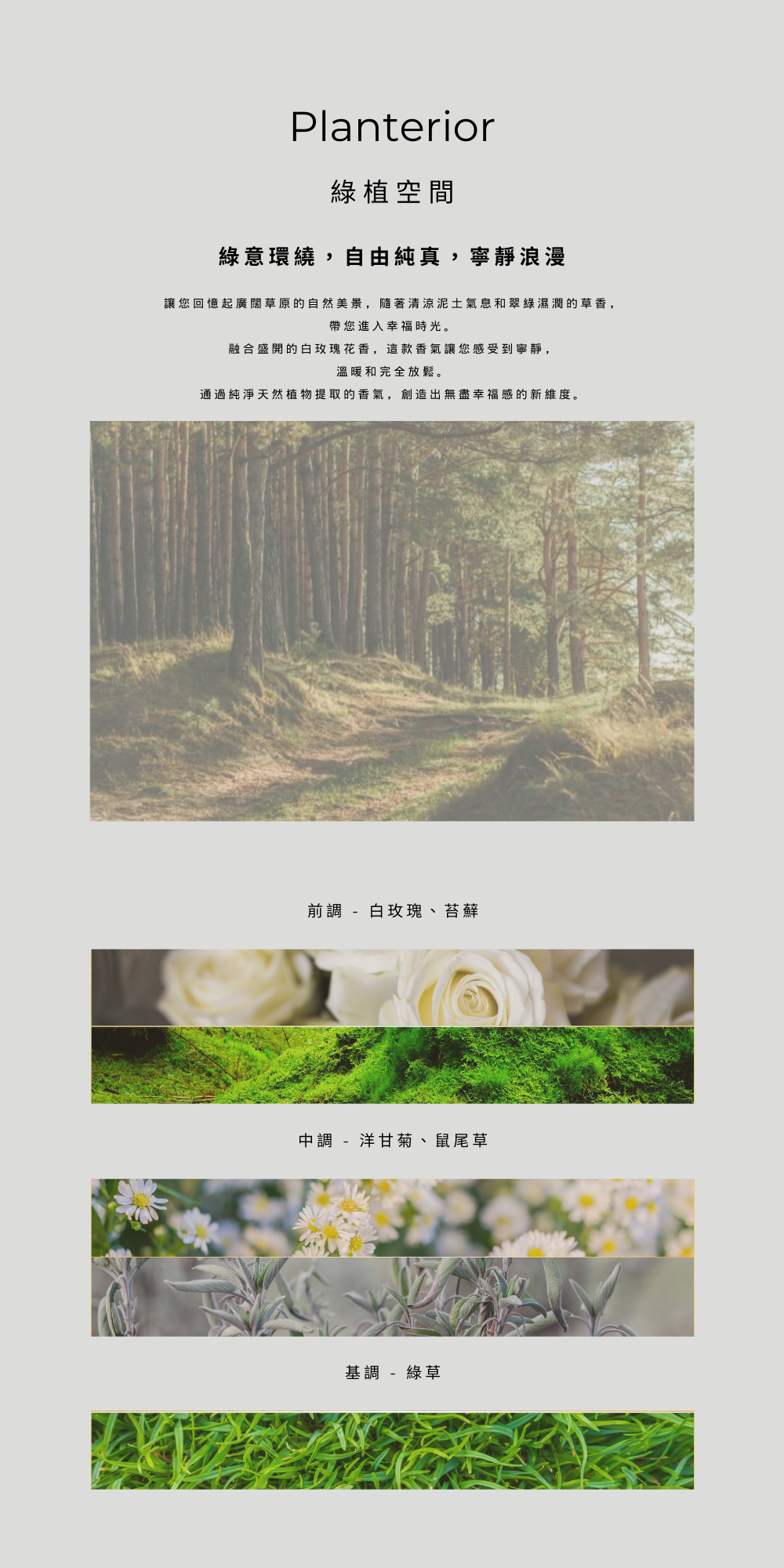 綠植空間 Planterior－雨後新鮮切草木香。 前調  - 白玫瑰、苔蘚 中調  - 洋甘菊、鼠尾草 基調  - 綠草