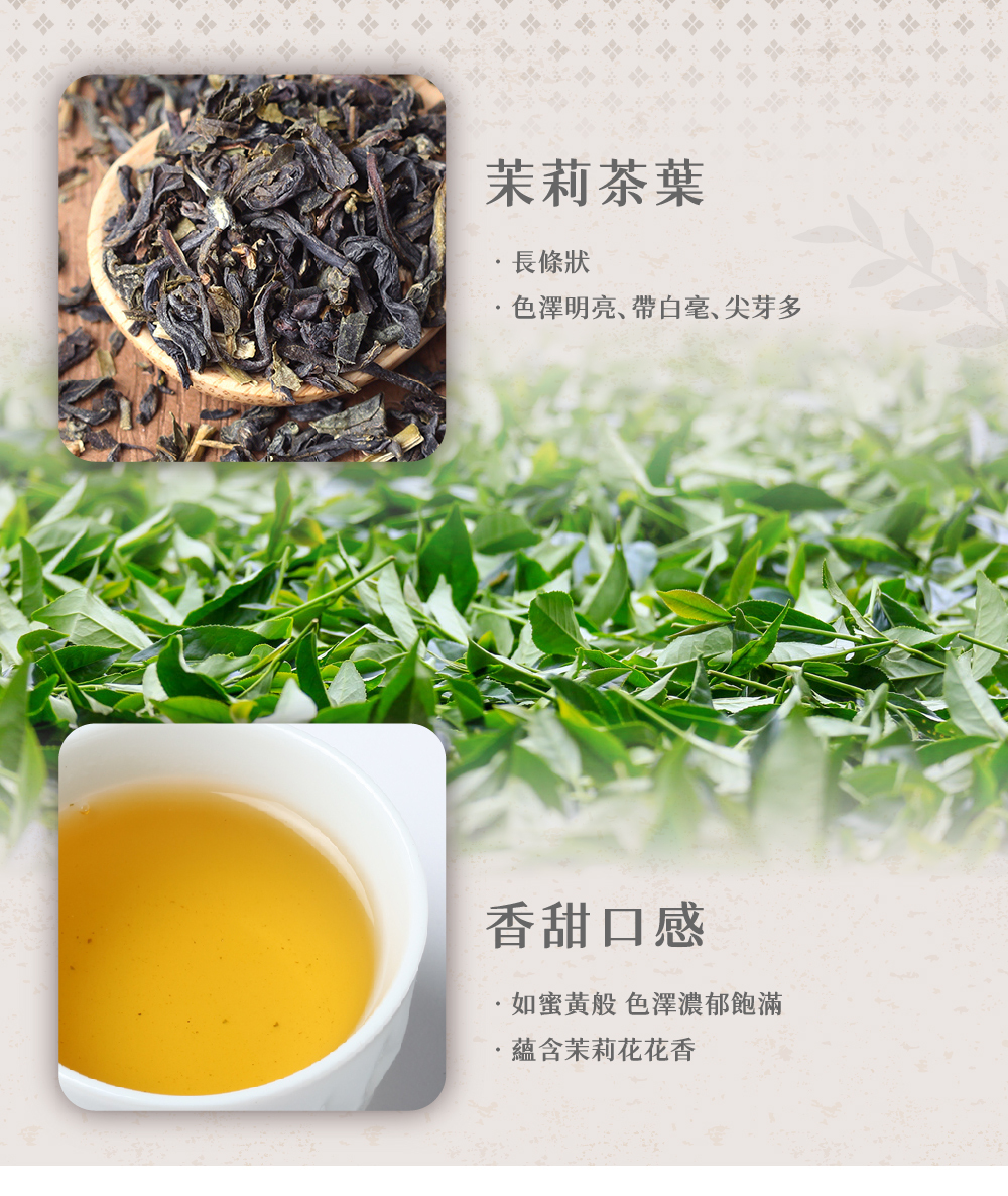 茉莉香片特性