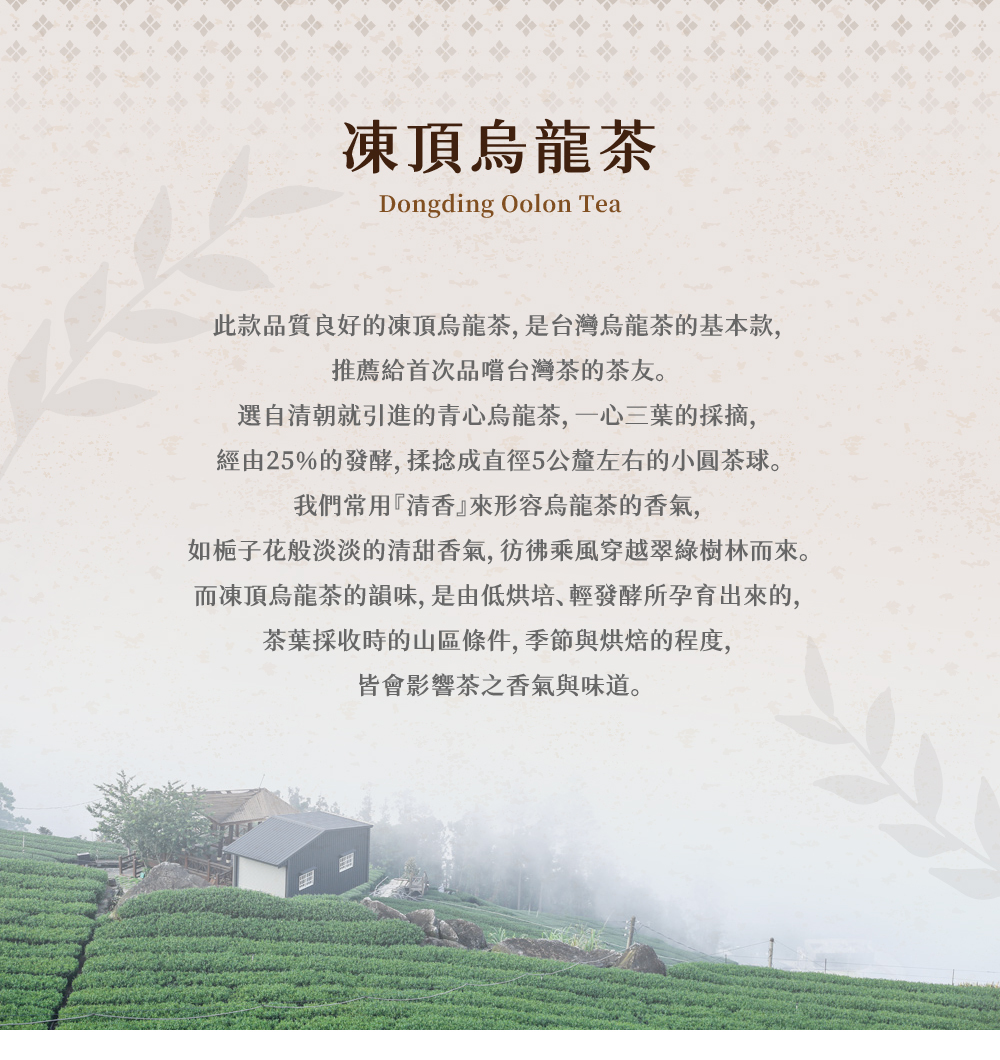 凍頂烏龍茶特色