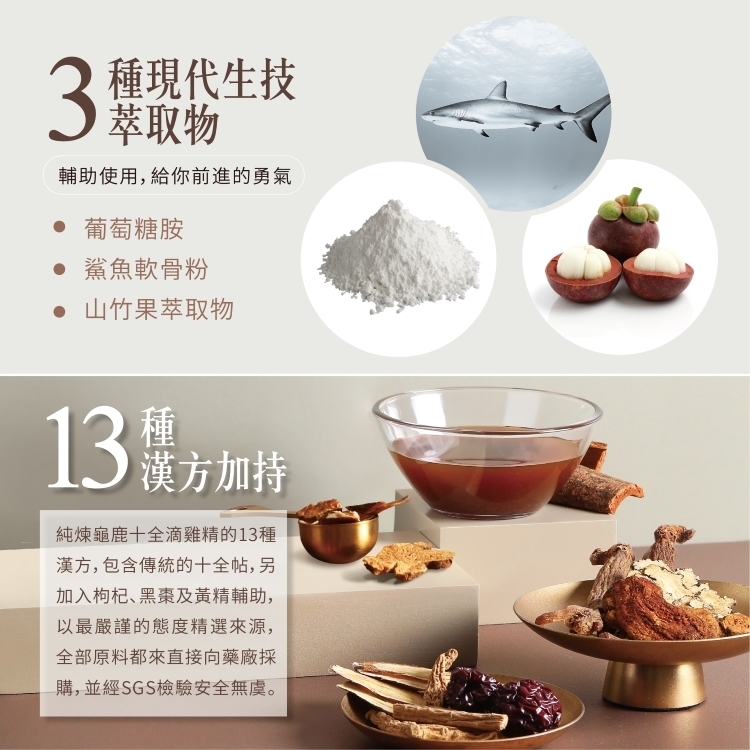 滴鶏精 滴雞精 10パック 滴鶏精 滴雞精 10パック