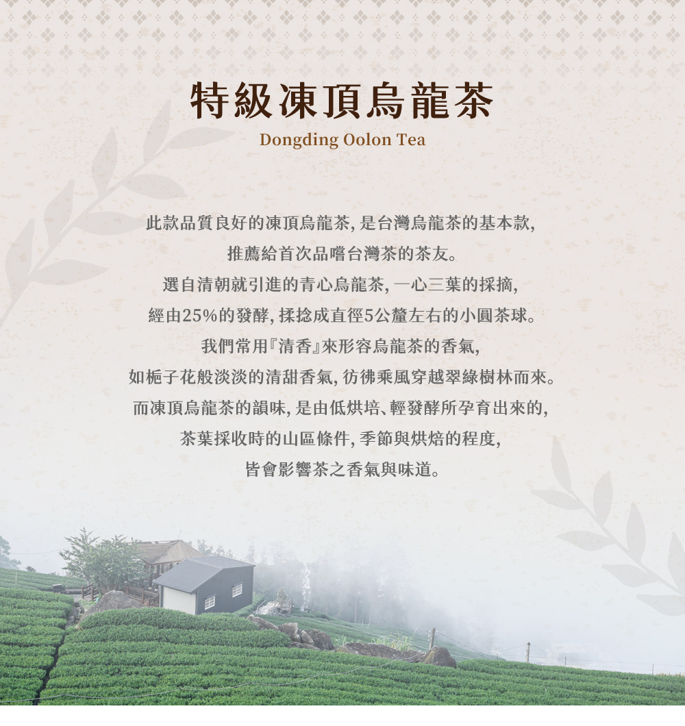 特級凍頂烏龍茶特性