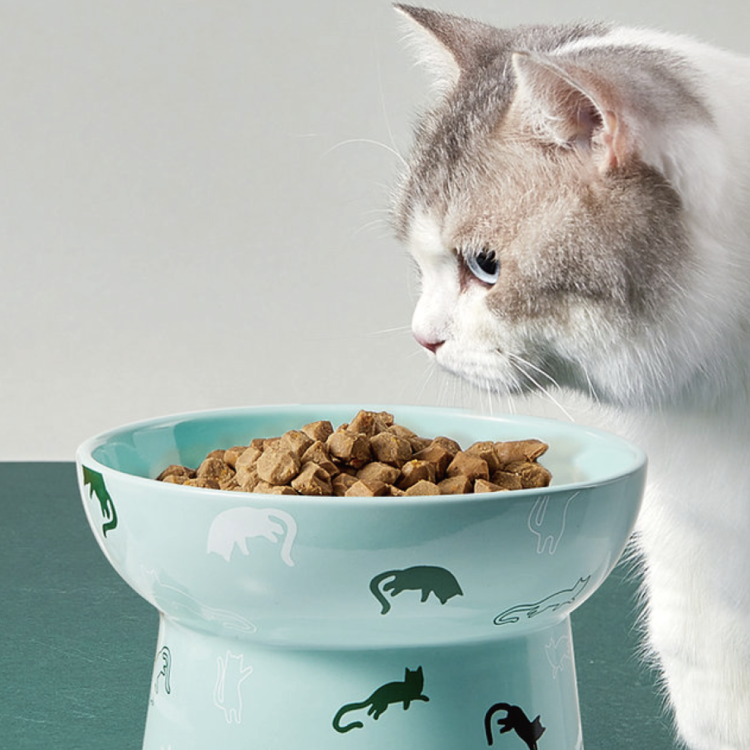 (香港正貨) Petkit 陶瓷高腳碗 - 淺草綠