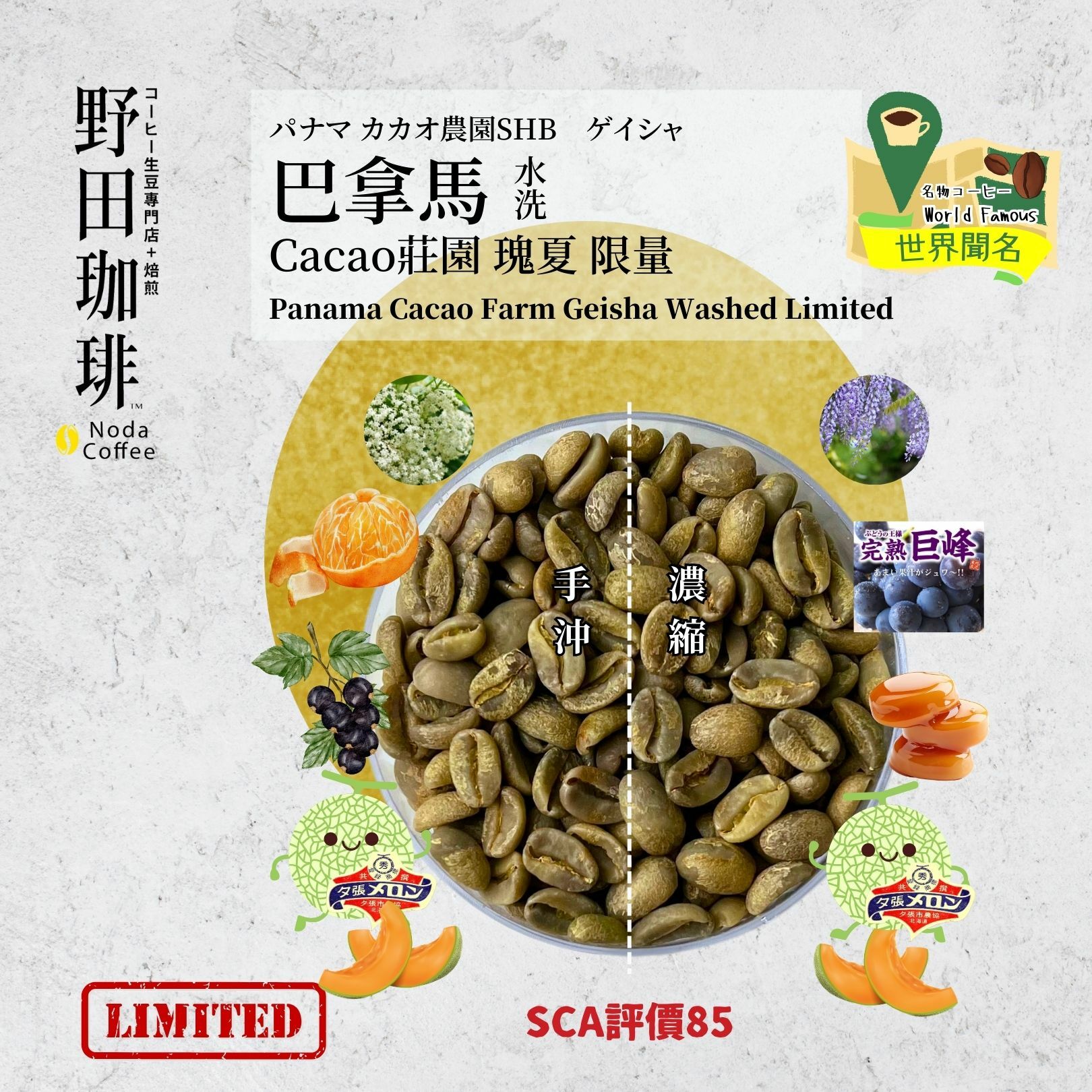 GBS007 巴拿馬 Cacao莊園 瑰夏 水洗 限量