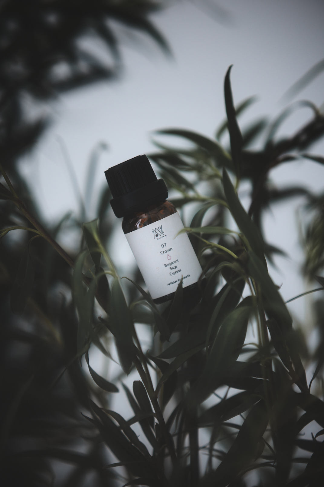 07 道 | 頂輪 | 脈輪複方精油
