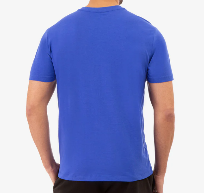 【預購】U.S. POLO ASSN G012351 男裝V領短袖TEE