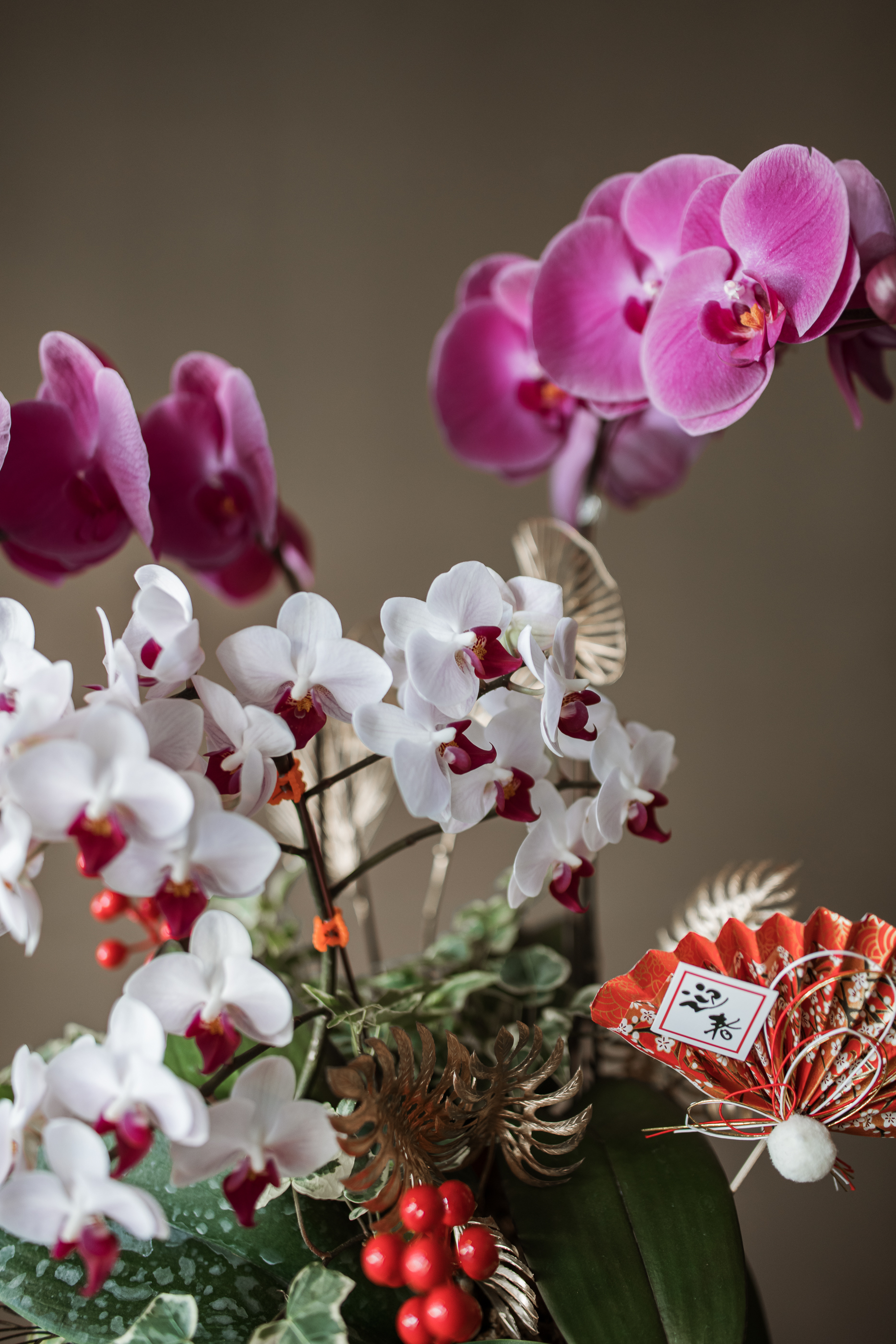 經典蘭花B款 | 桌花