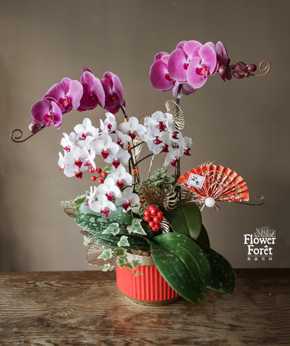 經典蘭花B款 | 桌花