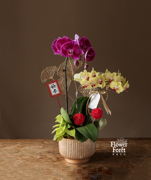 經典蘭花F款 | 桌花