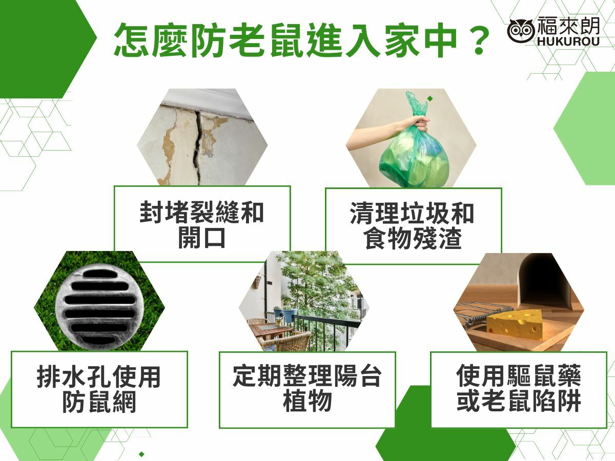 要怎麼防老鼠進入家中？