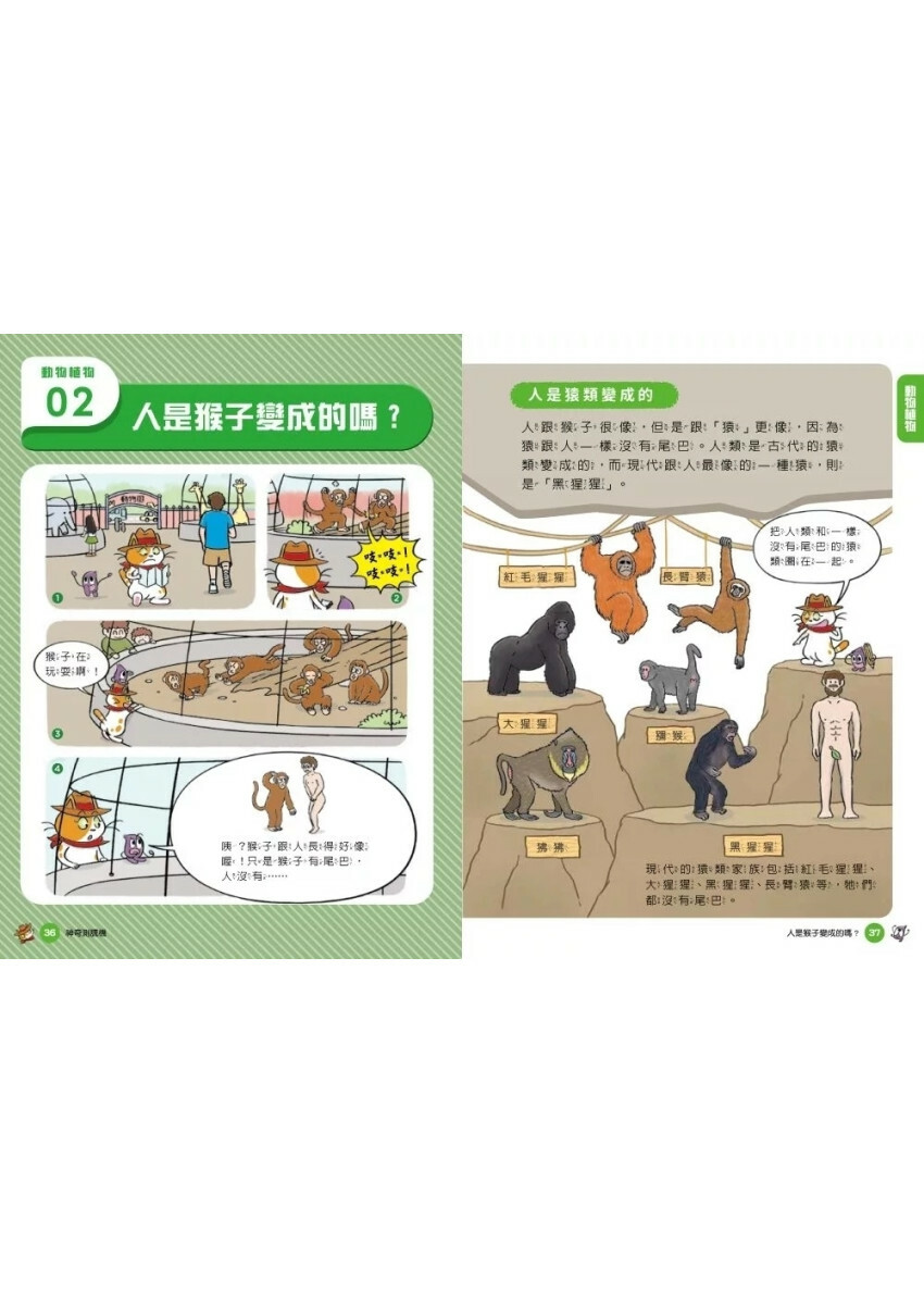 妙妙喵圖解生活科學3：神奇測謊機──跟著妙妙喵和跳跳蟲用圖像思考，破解生活大小問！