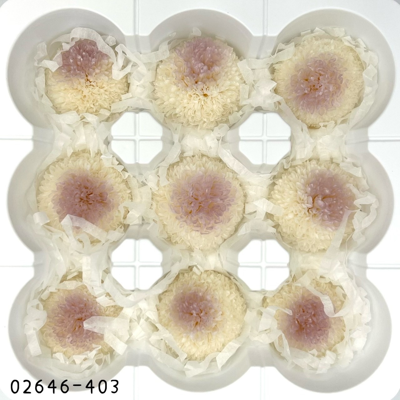 不凋乒乓菊(9朵) 02646-403