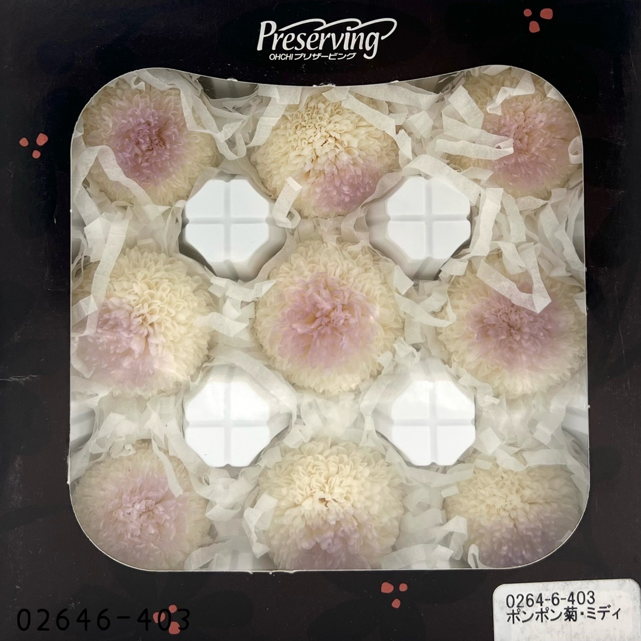 不凋乒乓菊(9朵) 02646-403