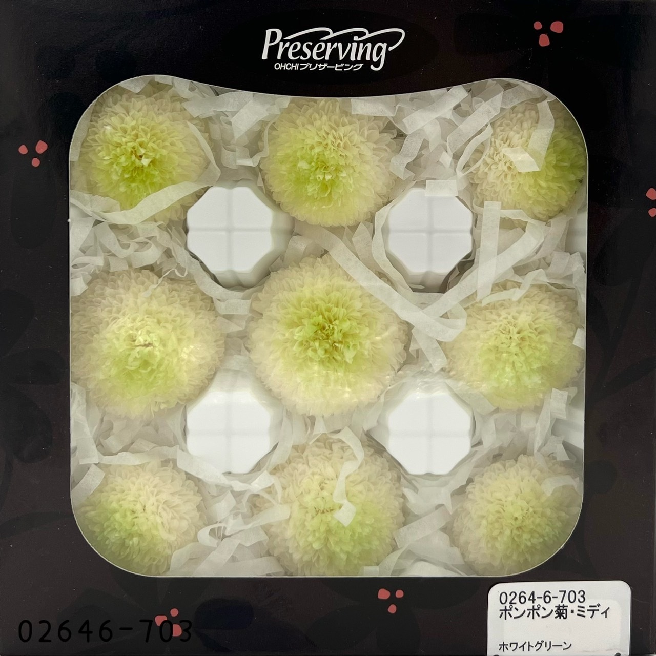 不凋乒乓菊(9朵) 02646-703