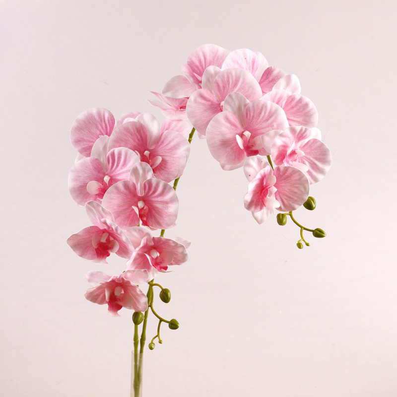 仿真輕奢3D打印手感蝴蝶蘭