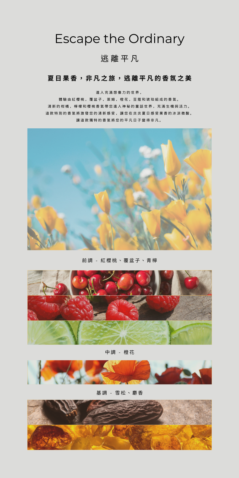 逃離平凡 Escape the Ordinary-花香與茶葉香。果園晨曦,溫暖森林的靜謐旅程 前調 - 紅櫻桃、覆盆子、青檸 中調 - 橙花 基調 - 零陵香豆、琥珀