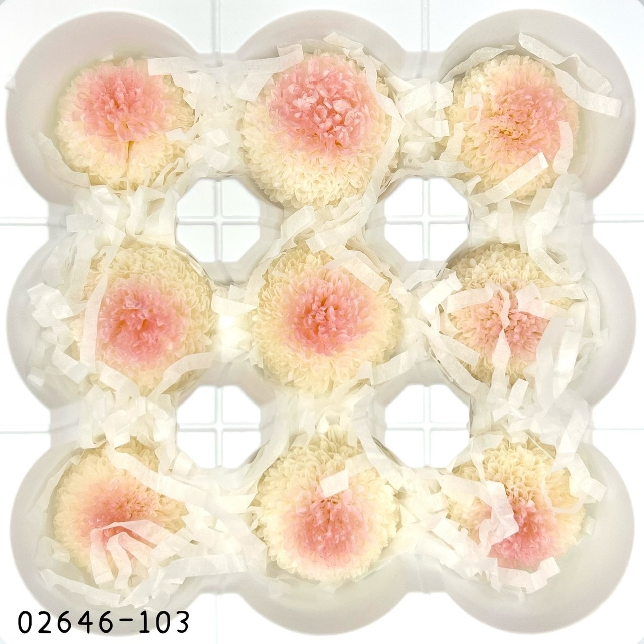 不凋乒乓菊(9朵) 02646-103