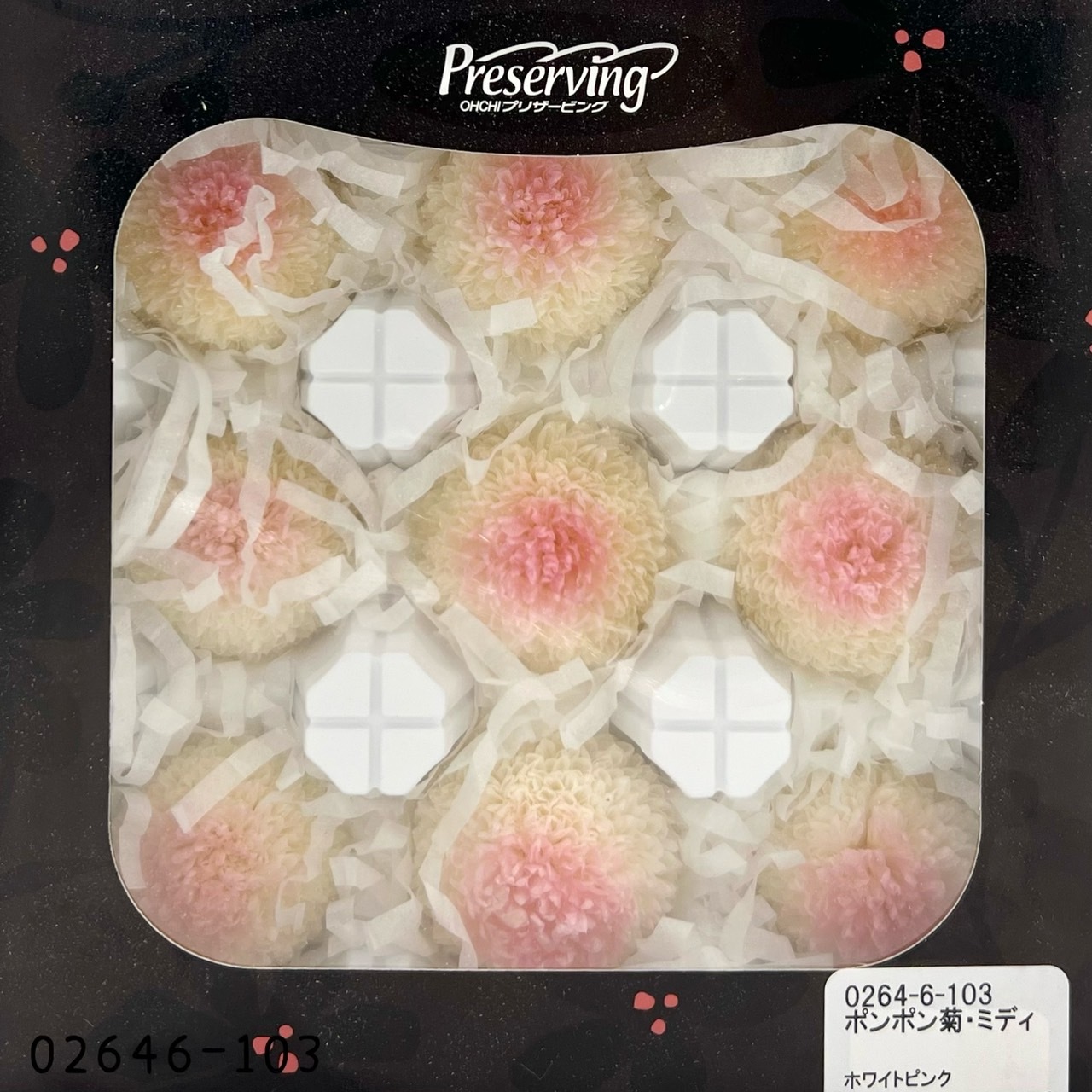 不凋乒乓菊(9朵) 02646-103