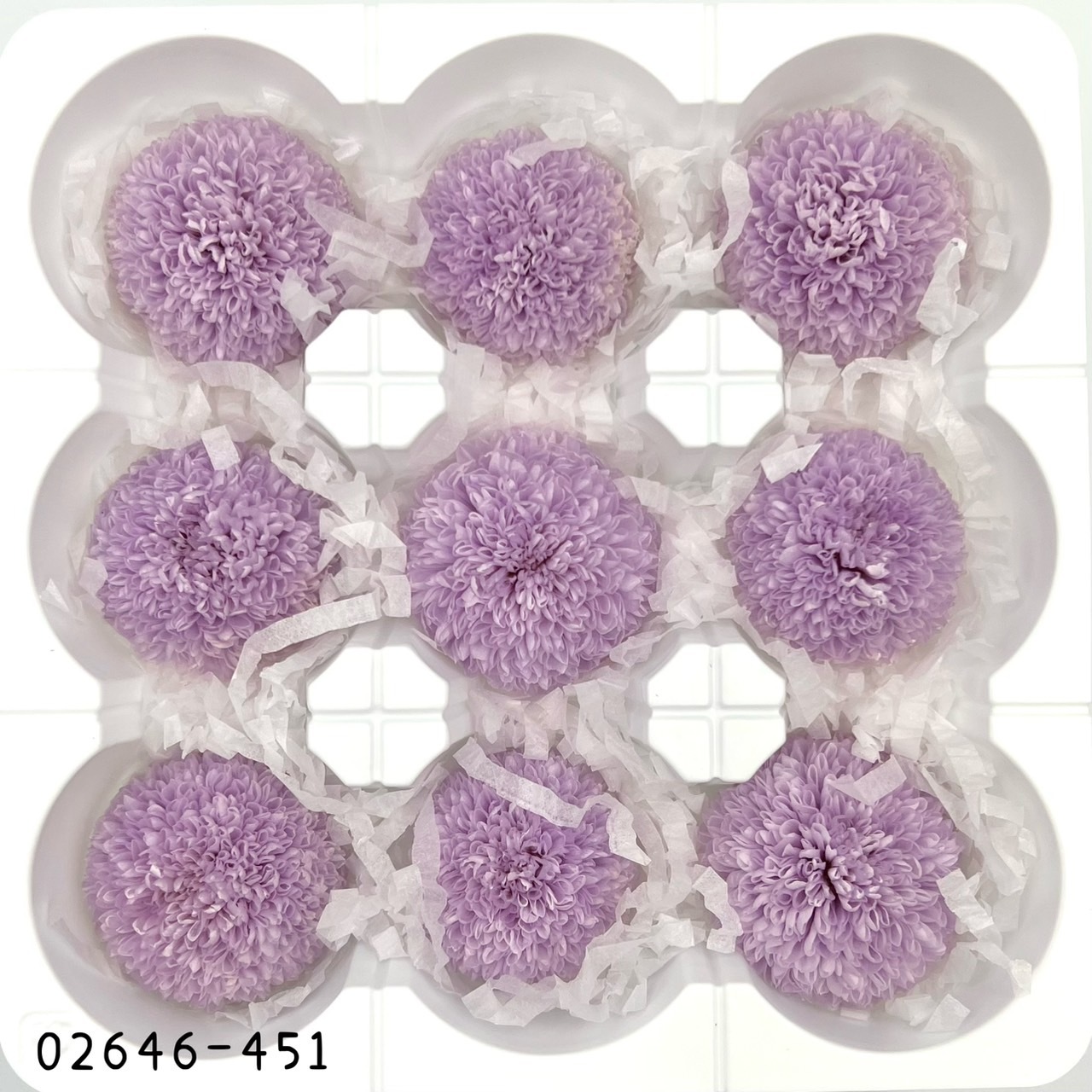 不凋乒乓菊(9朵) 02646-451