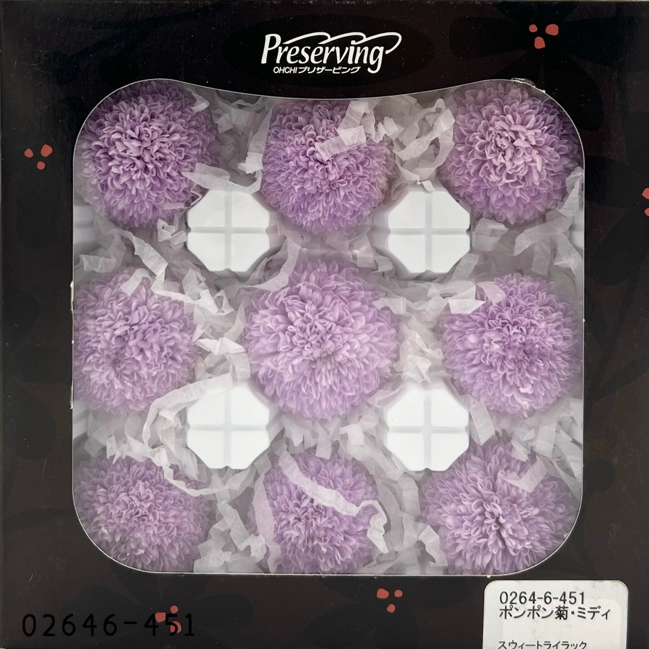 不凋乒乓菊(9朵) 02646-451