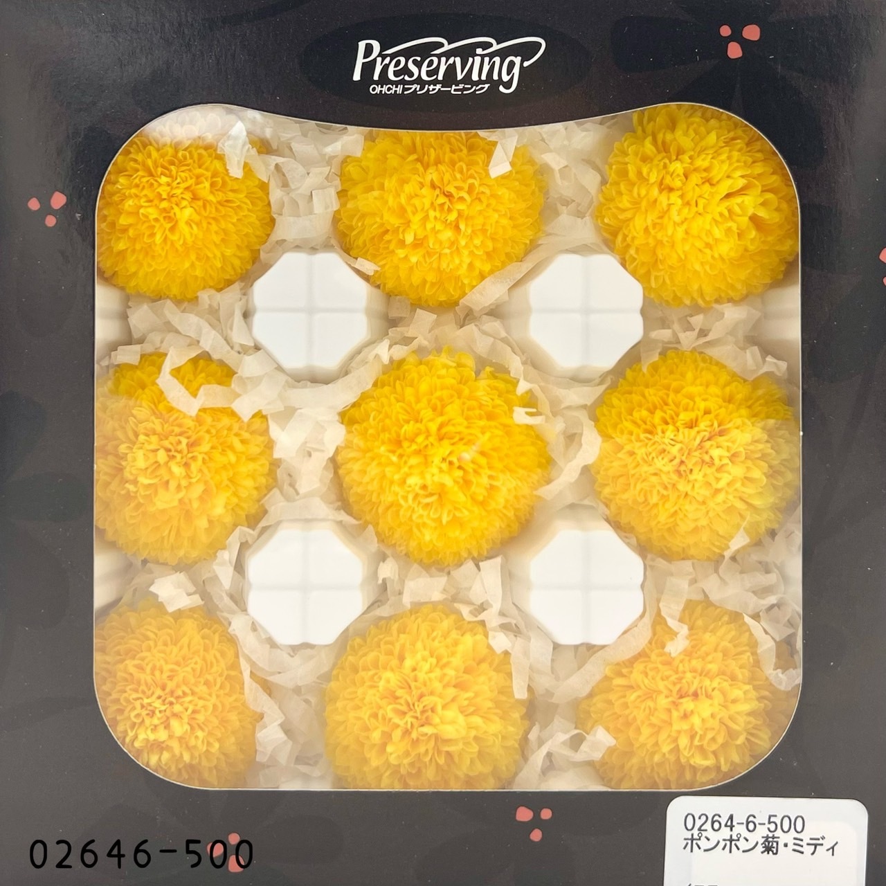 不凋乒乓菊(9朵) 02646-500